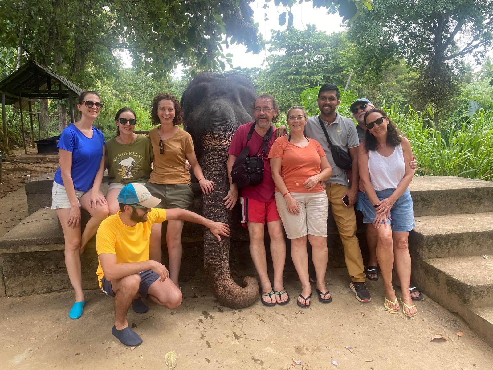Leopard Spotting in Yala Safari
